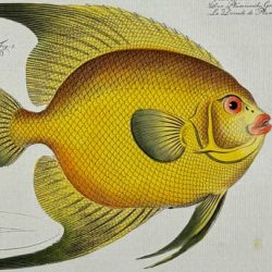 bloch-folio193-2